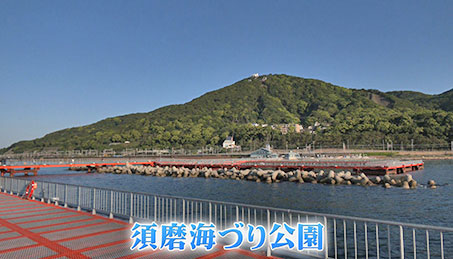 今週の放送
