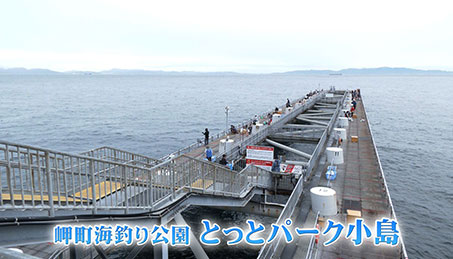 今週の放送