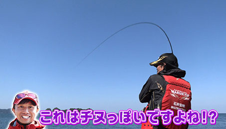 今週の放送