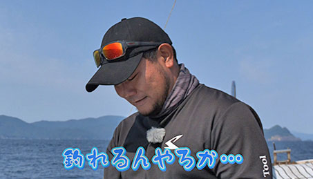今週の放送