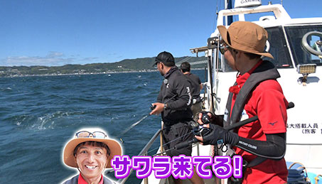 今週の放送